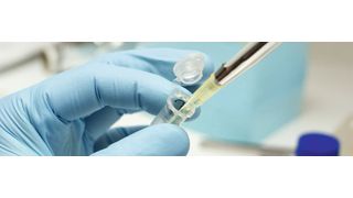 Abb. 1: Exaktes Pipettieren ist entscheidend für richtige und reproduzierbare Analysenergebnisse. (© Digital_Zombie - stock.adobe.com)