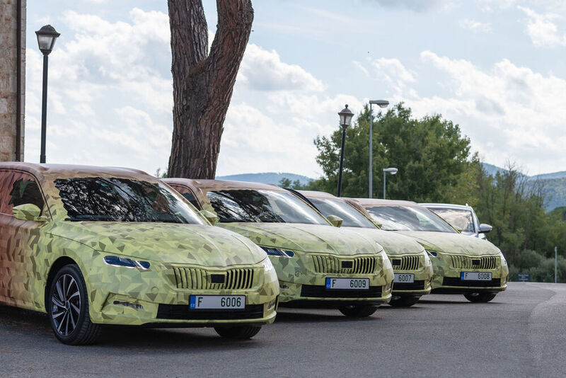 Preise sind noch nicht bekannt, dürften aber bei knapp unter 20.000 Euro starten. (Skoda)