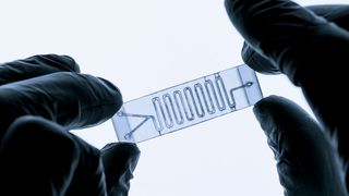 Abb. 1: So kennt man mikrofluidische Chips beispielsweise für Organ-on-a-Chip-Anwendungen. Dass mikrofluidische Systeme weit mehr können, – sogar organische Synthesen – zeigt dieser Beitrag. (Symbolbild) (Bild: © luchschenF - stock.adobe.com)