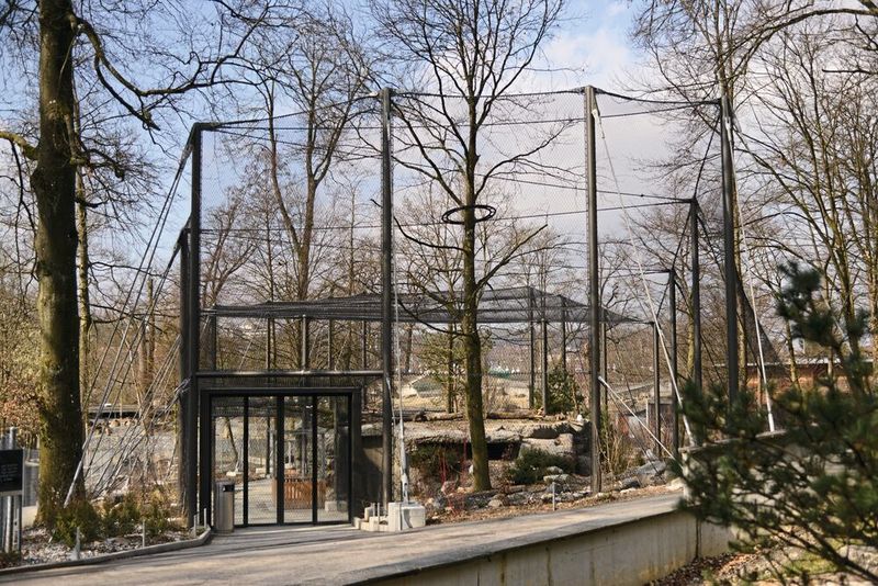 Großformatige Netze aus Edelstahl gehören heute in den meisten Zoos zur Standardausstattung. (Bild: Tierpark Bern)