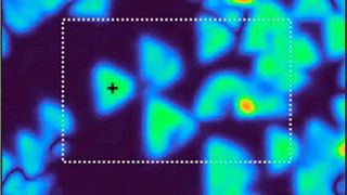 SFG microscopy image of boron nitride monolayer flakes.  (Source: FHI)