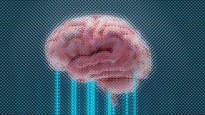Brain activity recorded during a video game helped researchers predict whether participants would take or avoid a risk half a second before they acted. (Source: free licensed)