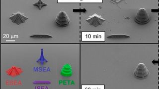 Dreidimensionale Mikrostrukturen aus verschiedenen spaltbaren Fotolacken. Die Rasterelektronenmikroskopaufnahmen zeigen den selektiven Abbau der Strukturen. (Skalierung 20 µm) (Bild: Nature Communications)