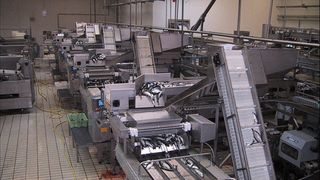 Maschinen und Anlagen der Fischverarbeitung arbeiten unter rauen Umgebungsbedingungen. (Schmersal)
