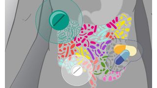 Medikamente können die Darmmikroben auf unterschiedliche Weise beeinflussen. (Bild: Isabel Romero Calvo/EMBL)