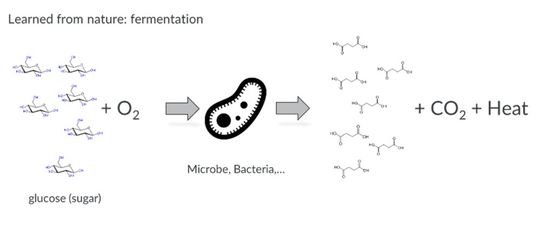 Die Natur macht's vor: Fermentationsprozess(Bild:  Ekato)