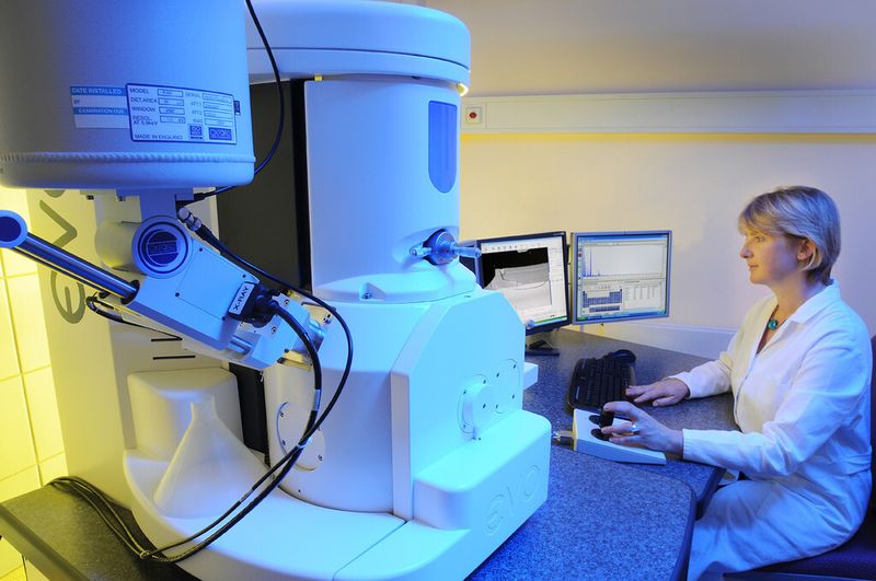 Bio-REM mit großer Probenkammer. (Bild: Fraunhofer ISC)