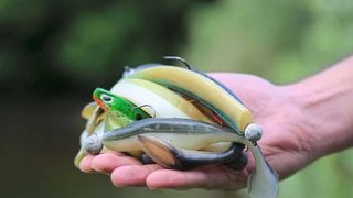 Handelsübliche Angelköder, wie sie für die Studie untersucht wurden – viele von ihnen gaben im Test Weichmacher ans Wasser ab. (Bild: Thünen-Institut/Marko Freese)