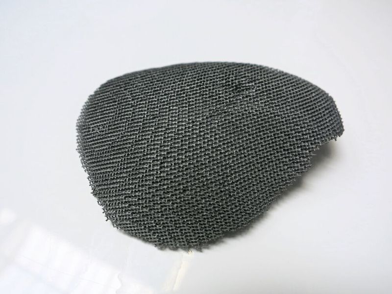 Dieses Schädelimplantat ... (Bild: Schäfer / Devicemed)