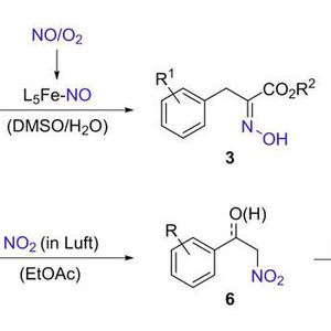 (FAU Erlangen-Nürnberg)