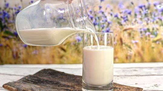 Steigende Anliefermengen und feste Abnahmeverträge zwingen die Schwälbchen Molkereien, überschüssige Rohmilch weit unter Einkaufspreis auf dem Spotmarkt zu verkaufen.(Bild:  frei lizenziert /  Pixabay)