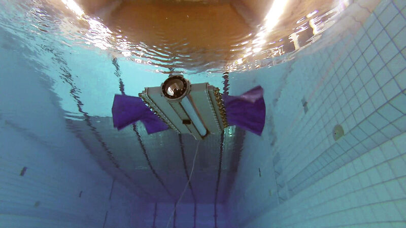 Testversuch an der ETH Zürich: Sepios treibt sich durch den Pool. (Bild: Kubo)