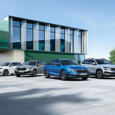 Skoda setzt auch weiterhin auf Verbrennungsmotoren, der Kompakt-SUV Karoq soll einen Nachfolger bekommen.  (Bild: 
Škoda Auto)