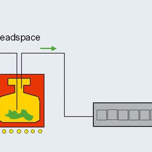 Abb.2: Prinzip eines Sensor-Arrays gekoppelt an ein dynamisches Headspace-Verfahren