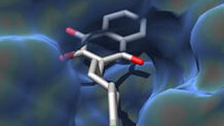 Wirkstoffmolekül in der Tasche: Die Darstellung zeigt, wie Atovaquon an sein Zielprotein bindet. (Bild: Dominic Birth, Carola Hunte)