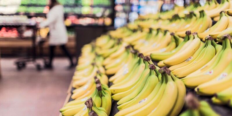 Eine neu entwickelte Cellulose-Schutzschicht, die auf Früchte und Gemüse aufgetragen werden kann, verlängerte in Tests die Haltbarkeit von Bananen um über eine Woche. (Symbolbild)