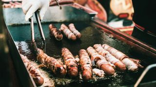 One of the biggest risk factors for developing liver cancer is a high-fat diet.  (Source: free licensed)