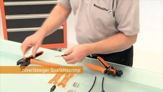 /imgserver/companyimg/temp/mqdefault1 ()