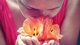 Die menschliche Nase kann einige organische Moleküle in extrem niedrigen Konzentrationen spüren, während andere kaum wahrnehmbar sind.