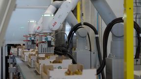 Die GoFa-Cobots von ABB reduzieren die Zeit für die Wachsversiegelung auf nur eine Sekunde pro Frucht und ermöglichen eine exakte Dosierung und gleichmässige Qualität.  (Bild: ABB Robotics)