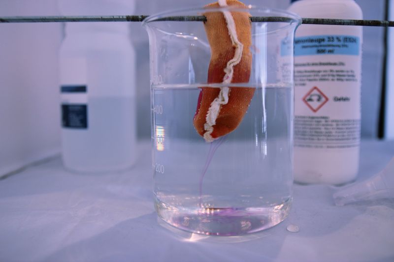 Im Life-Experiment zeigte sich, dass kein Handschuh für alles geeignet ist. Der Handschuh-Finger hier im Bild ist zwar bestens gegen Aceton optimiert, lässt jedoch schon nach wenigen Minuten die in ihn gegossene Natronlauge hindurch, wie an dem magentafarbenen Schlieren im Wasser zu erkennen ist (pH-Indikator Phenolphthalein).  Mehr Infos zu den kommenden LAB-SUPPLY-Messen finden Sie auf www.lab-supply.info.  (LABORPRAXIS, C. Lüttmann)