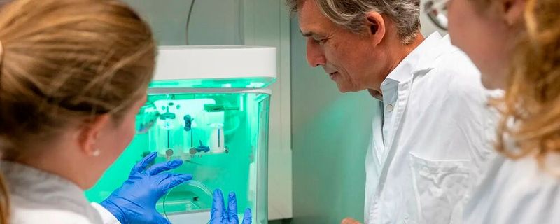 Ein Team der TU München hat DNA-Origami-Schalter entwickelt, die sich per elektrischem Feld in Millisekunden umschalten lassen.(Bild:  Astrid Eckert / TUM)
