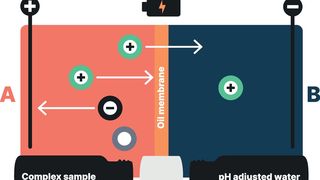 Funktionsschema der Elektro-Membran-Extraktion (Details weiter unten im Text) (Bild: Dichrom)