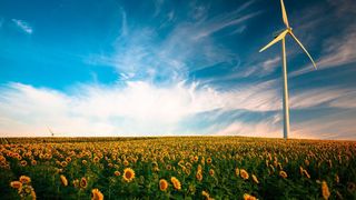 Unser globales Ökosystem wird durch den Klimawandel, den Rückgang der Artenvielfalt und viele weitere Faktoren bedroht. Das Startup Factor Eleven ruft mit seiner Kampagne zum Handeln auf.  (gemeinfrei)