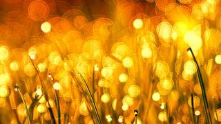 Daten sind das Gold für Marketingverantwortliche. Eine aktuelle Studie zeigt die größten Hindernisse, um datenbasiertes Arbeiten weiter auszubauen, auf. (gemeinfrei)