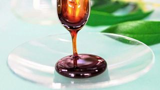 Aus Oliventrester lassen sich hochwertige Komponenten gewinnen. Der Rohextrakt erinnert an dunklen Honig. (Bild: Gaia Tech)