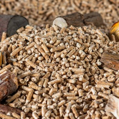 Biomassekessel verbrennen Holz in Form von Pellets, Scheiten oder Hackschnitzel, um Wasser für Heizung und Trinkwarmwasser zu erwärmen. (Bild: fotoblend)