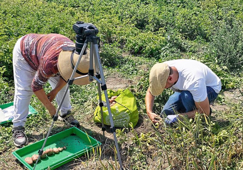 Wissenschaftler der Universität Wien werten Feldversuche aus. (Bild: Markus Teige, Univ. Wien)