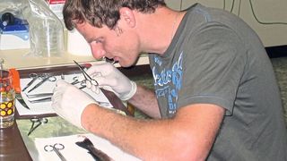 TUM-Mitarbeiter Jens-Eike Täubert bei der Untersuchung einer Forelle mit Proliferative Darkening Syndrome (PDS) ( Lehrstuhl Prof. Dr. R. Kuehn / TUM)