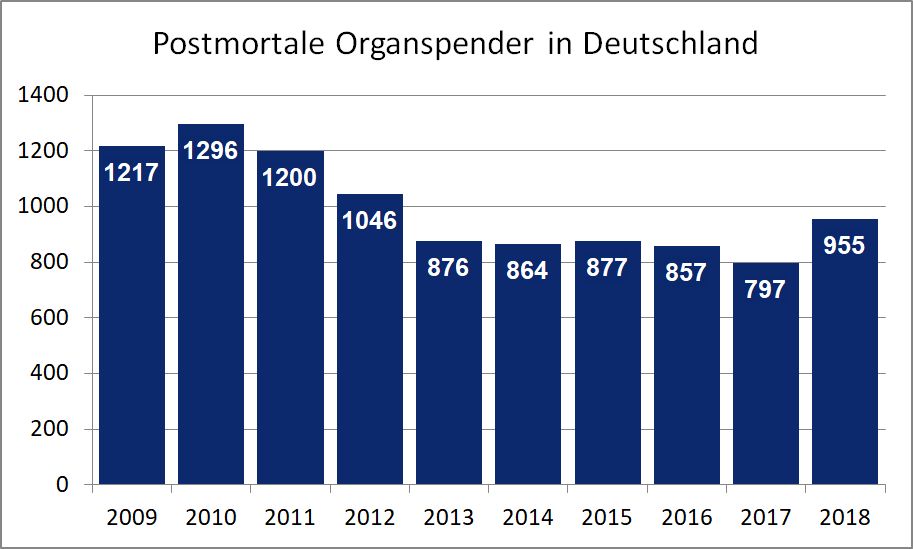 7 Fakten zur Organspende || Bild 4 / 12