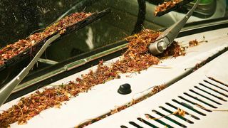 Die Wischer gehören zu den sicherheitsrelevanten Bauteilen und sollten regelmäßig gewechselt werden – am besten, bevor sie nicht mehr richtig funktionieren. (Bild: gemeinfrei)