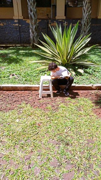 Tianfei Peng, Doktorand und Erstautor der Studie, bei Untersuchungen auf dem Campus der Universität von São Paulo (Christoph Grüter, JGU)