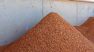 Für die Wiederverwertung von Bau- und Abbruchabfällen werden neue Strategien gefordert, um die Produkte dem Materialkreislauf zurückzuführen. Bei Mauerziegeln gelingt dies bereits. (Bild: Ziegel Recycling Bayern GmbH)