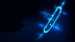 Bakterien zum Stromspeichern? Forscher ergründen die Mechanismen der mikrobiellen Elektrosynthese (Symbolbild) (Bild: Inna - stock.adobe.com)