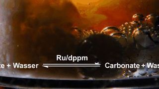 Das bei der Reaktion entstehende Kohlendioxid wird in Form von Biocarbonaten abgefangen.  (Bild: Wiley-VCH)