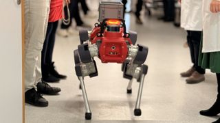 Debüt des Robo-Dogs HELIA (kurz für Helfender Roboter im Klinikalltag) auf der Station H21/22 der Hautklinik des Uniklinikums Würzburg (UKW). (Bild: Kim Sammet/UKW)