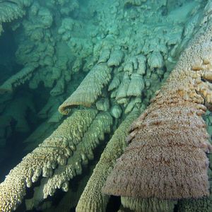 (E.A.N./IPA/INAH/MUDE/UNAM/HEIDELBERG)