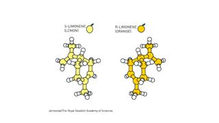 Benjamin List und David MacMillan haben demonstriert, wie organische Katalysatoren für eine Vielzahl von chemischen Reaktionen eingesetzt werden können. (Johan Jarnestad/The Royal Swedish Academy of Sciences)
