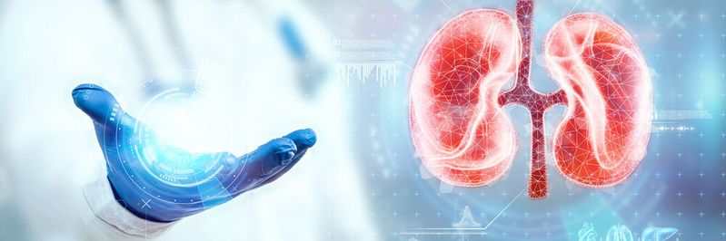Die reale Welt des Operationssaales wird künftig um Hologramme ergänzt, die als 3D-Modelle im Raum erscheinen Die reale Welt des Operationssaales wird künftig um Hologramme ergänzt, die als 3D-Modelle im Raum erscheinen