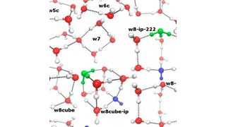 Die Wissenschaftler berechneten die Häufigkeit verschiedener Cluster von Wassermolekülen bei unterschiedlichen Temperaturen. Manche dieser Cluster sind dazu in der Lage, negativ geladene Hydroxid-Ionen (blau) und positiv geladene Hydronium-Ionen (grün) zu stabilisieren. (Ausschnitt) (© AG Kirchner/Uni Bonn)