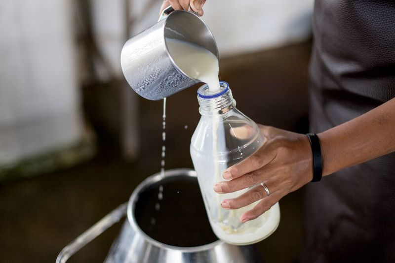 Abb.2: Eine Milchprobe wird für die Analyse im Labor abgefüllt (Symbolbild). (©sinhyu - stock.adobe.com)