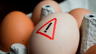 Am häufigsten gelangen Salmonellen über Lebensmittel in den Verdauungstrakt des Menschen. Sie können sich schnell auf ungekühlten Lebensmitteln vermehren. (Symbolbild) (Bild: Ralf - stock.adobe.com)