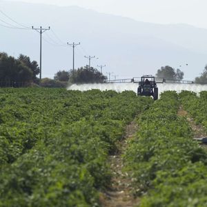 (Bild: André Künzelmann/)