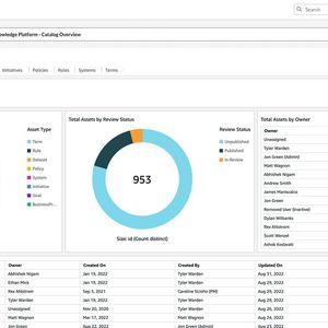 Dies ist die Catalog-Übersicht in der Syniti Knowledge Platform. Zwei Grafiken liefern Kennzahlen auf einen Blick.(Bild:  Syniti)