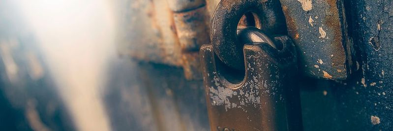 Security as a Service ist laut Softshell Vendor Report das am schnellsten wachsende Marktsegment bei den Security-Anbietern.(Bild:  gemeinfrei / Unsplash)