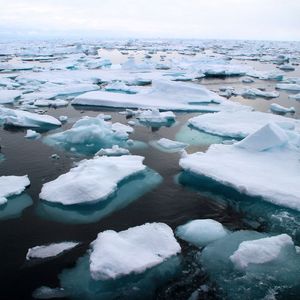 Arktisches Meereis in der Framstraße